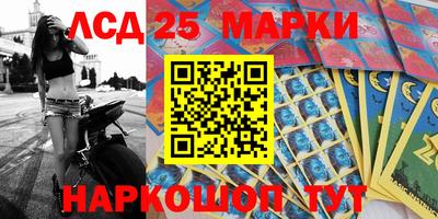 a pvp Славгород