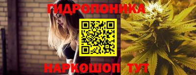 СК Сланцы