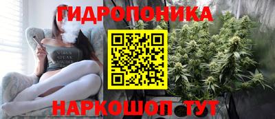 СК Сланцы