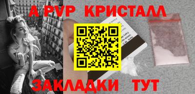 СК Сланцы