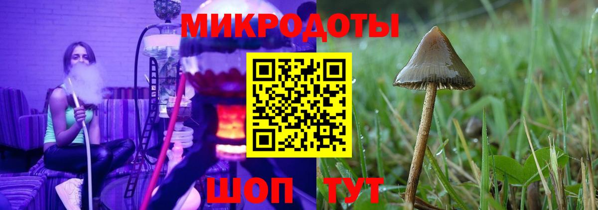 Галлюциногенные грибы мухоморы Рубцовск
